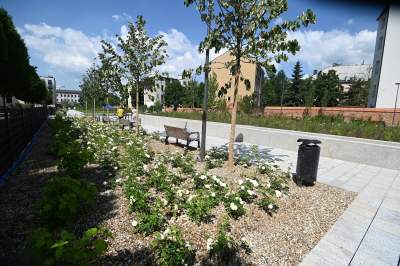 Park Szymborskiej na parę dni przed otwarciem, mural też prawie gotowy - zdjęcie 8