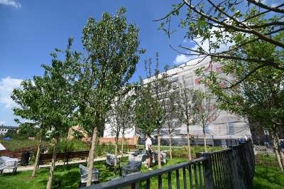 Park Szymborskiej na parę dni przed otwarciem, mural też prawie gotowy - zdjęcie 4