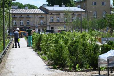 Park Szymborskiej na parę dni przed otwarciem, mural też prawie gotowy - zdjęcie 23