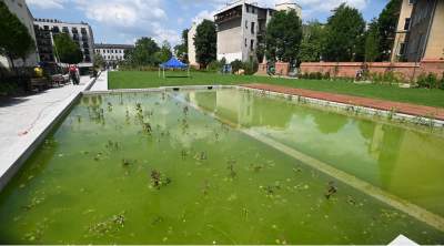 Park Szymborskiej na parę dni przed otwarciem, mural też prawie gotowy - zdjęcie 2