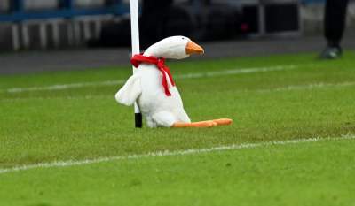Gęś Pipa nie pomogła, po meczu Polki zalały się łzami... - zdjęcie 1