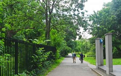 Zachwycająca dzika przyroda w ścisłym centrum Krakowa - zdjęcie 22