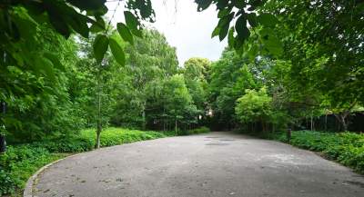 Zachwycająca dzika przyroda w ścisłym centrum Krakowa - zdjęcie 12