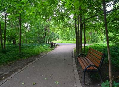 Zachwycająca dzika przyroda w ścisłym centrum Krakowa - zdjęcie 13