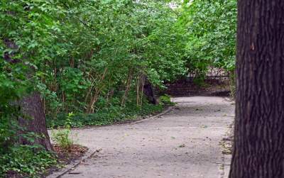 Zachwycająca dzika przyroda w ścisłym centrum Krakowa - zdjęcie 5