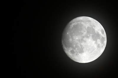 Szalom na Szerokiej powrócił w imponującym stylu, co za energia! - zdjęcie 48