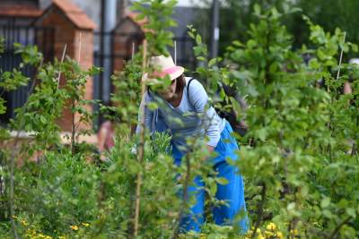 Krakowianie przejmują park Szymborskiej, doczekaliśmy się! - zdjęcie 11