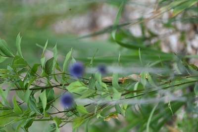 Krakowianie przejmują park Szymborskiej, doczekaliśmy się! - zdjęcie 7