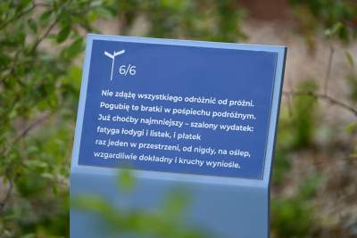 Krakowianie przejmują park Szymborskiej, doczekaliśmy się! - zdjęcie 5