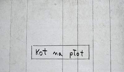 Poezja noblistki trafiła na płot, wyjątkowa wystawa na Dolnych Młynów - zdjęcie 12