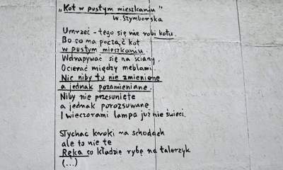 Poezja noblistki trafiła na płot, wyjątkowa wystawa na Dolnych Młynów - zdjęcie 11