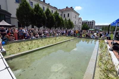 Krakowianie pokochali nowy park im. Wisławy Szymborskiej, zachwycające miejsce - zdjęcie 20