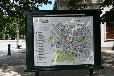 Gdziekolwiek tutaj spojrzę, na każdym kroku widzę róże! - zdjęcie 24