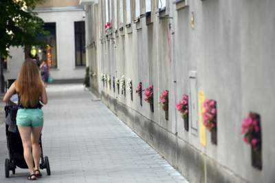 Gdziekolwiek tutaj spojrzę, na każdym kroku widzę róże! - zdjęcie 19