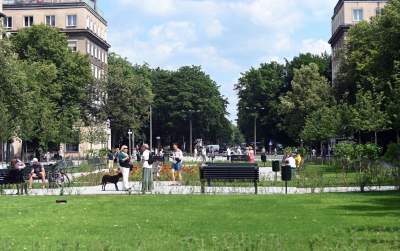 Gdziekolwiek tutaj spojrzę, na każdym kroku widzę róże! - zdjęcie 11