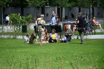 Gdziekolwiek tutaj spojrzę, na każdym kroku widzę róże! - zdjęcie 10