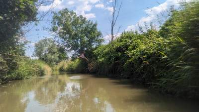 Cudowna dzika rzeka w mieście, tu odpoczniecie z dala od tłumów - zdjęcie 30