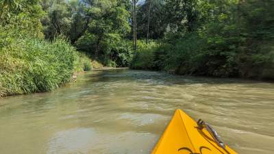 Cudowna dzika rzeka w mieście, tu odpoczniecie z dala od tłumów - zdjęcie 14
