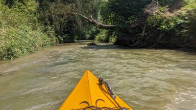 Cudowna dzika rzeka w mieście, tu odpoczniecie z dala od tłumów - zdjęcie 13