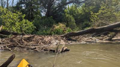 Cudowna dzika rzeka w mieście, tu odpoczniecie z dala od tłumów - zdjęcie 22