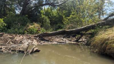 Cudowna dzika rzeka w mieście, tu odpoczniecie z dala od tłumów - zdjęcie 21