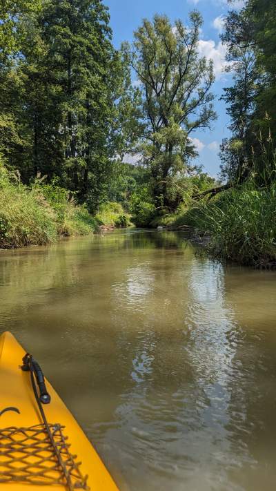 Cudowna dzika rzeka w mieście, tu odpoczniecie z dala od tłumów - zdjęcie 20