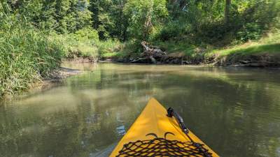 Cudowna dzika rzeka w mieście, tu odpoczniecie z dala od tłumów - zdjęcie 19