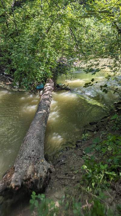 Cudowna dzika rzeka w mieście, tu odpoczniecie z dala od tłumów - zdjęcie 8