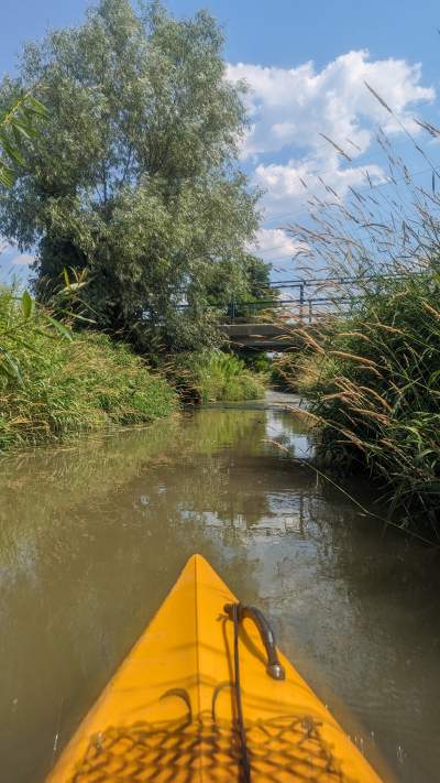 Cudowna dzika rzeka w mieście, tu odpoczniecie z dala od tłumów - zdjęcie 32
