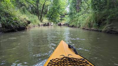 Cudowna dzika rzeka w mieście, tu odpoczniecie z dala od tłumów - zdjęcie 27