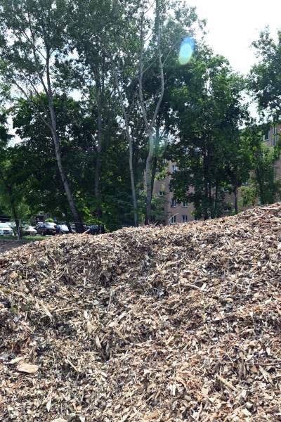 Wycinka drzew na budowie linii tramwajowej do Mistrzejowic, zdaniem aktywistów niepotrzebna - zdjęcie 8