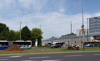 Wycinka drzew na budowie linii tramwajowej do Mistrzejowic, zdaniem aktywistów niepotrzebna - zdjęcie 7