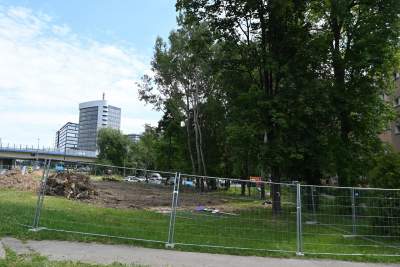 Wycinka drzew na budowie linii tramwajowej do Mistrzejowic, zdaniem aktywistów niepotrzebna - zdjęcie 11