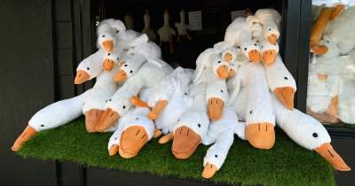 W tym kiosku nie ma już żadnych innych towarów, szaleństwo trwa! - zdjęcie 1