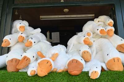 W tym kiosku nie ma już żadnych innych towarów, szaleństwo trwa! - zdjęcie 12