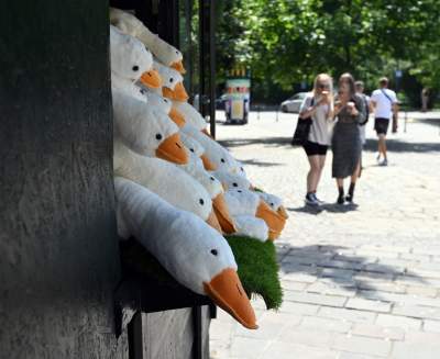 W tym kiosku nie ma już żadnych innych towarów, szaleństwo trwa! - zdjęcie 16