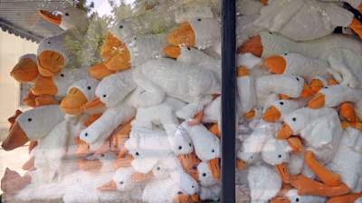 W tym kiosku nie ma już żadnych innych towarów, szaleństwo trwa! - zdjęcie 3