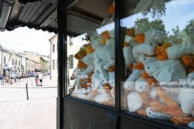 W tym kiosku nie ma już żadnych innych towarów, szaleństwo trwa! - zdjęcie 10