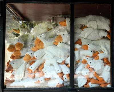 W tym kiosku nie ma już żadnych innych towarów, szaleństwo trwa! - zdjęcie 8