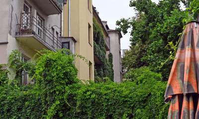 Tu w Krakowie zieleń staje się cześcią architektury, wygląda pięknie! - zdjęcie 5