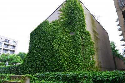 Tu w Krakowie zieleń staje się cześcią architektury, wygląda pięknie! - zdjęcie 11