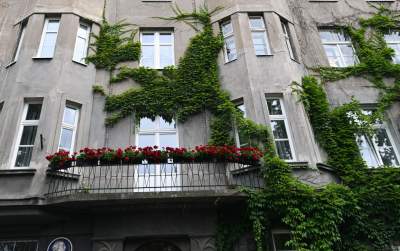 Tu w Krakowie zieleń staje się cześcią architektury, wygląda pięknie! - zdjęcie 23