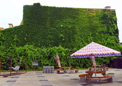 Tu w Krakowie zieleń staje się cześcią architektury, wygląda pięknie! - zdjęcie 1