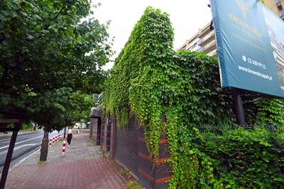 Tu w Krakowie zieleń staje się cześcią architektury, wygląda pięknie! - zdjęcie 16