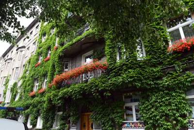 Tu w Krakowie zieleń staje się cześcią architektury, wygląda pięknie! - zdjęcie 20