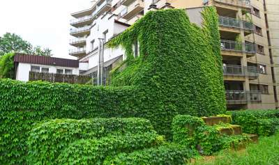 Tu w Krakowie zieleń staje się cześcią architektury, wygląda pięknie! - zdjęcie 10