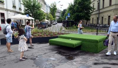 Najbardziej zielone skrzyżowanie na Kazimierzu, to dopiero początek - zdjęcie 4