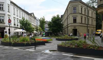 Najbardziej zielone skrzyżowanie na Kazimierzu, to dopiero początek - zdjęcie 1