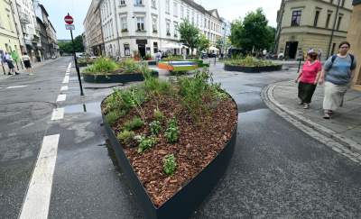 Najbardziej zielone skrzyżowanie na Kazimierzu, to dopiero początek - zdjęcie 2