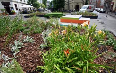 Najbardziej zielone skrzyżowanie na Kazimierzu, to dopiero początek - zdjęcie 12